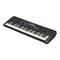 Yamaha HARMONY DIRECTOR HD-300