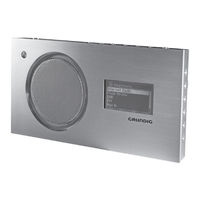 Grundig Cosmopolit 7 A WEB Bedienungsanleitung