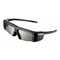 3D-Brillen Samsung SSG-S3000GR Handbuch