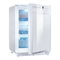 Dometic miniCool DS301H