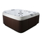 Jacuzzi J-460