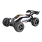Ferngesteuerte Modelle XciteRC Twenty4 Buggy Bedienungsanleitung