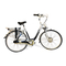 Fahrräder Gazelle Innergy Serie Bedienungsanleitung
