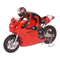 Ferngesteuerte Modelle THUNDER TIGER DUCATI 999R NITRO Bedienungsanleitung