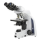 Mikroskope Euromex iScope IS1152-EPL Benutzerhandbuch