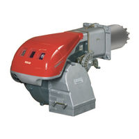 Riello RS 45/M BLU Installations-, Bedienungs- Und Wartungsanleitung