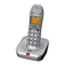 Schnurlose Festnetztelefone AUDIOLINE BIGTEL 100 Bedienungsanleitung