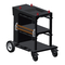Fronius TP06