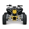 Quads & ATV BRP can-am DS 90 Bedienungsanleitung