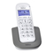 Schnurlose Festnetztelefone Profoon PDX-2608 Gebrauchsanweisung