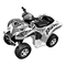 Ferngesteuerte Modelle Famosa Feber Demon quad Bedienungsanleitung