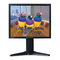 Monitore ViewSonic VP950b Bedienungsanleitung