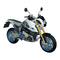 BMW Motorrad HP2 Megamoto