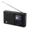 Radios SOUNDMASTER DAB165SW Bedienungsanleitung
