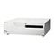 Sony UP-2100P