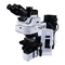 Olympus BX61
