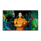 Fernseher Samsung QBC Serie Benutzerhandbuch