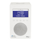 Radios Tivoli Audio PAL+ Anleitung
