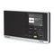 Radios TechniSat DIGITRADIO 215 SWR4 Edition Bedlenungsanleitung