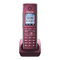 Schnurlose Festnetztelefone Panasonic KX-TG8551G Bedienungsanleitung