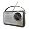 Radios Kapsch Capri125 PLUS Benutzerhandbuch