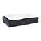 Avision BT-2202B