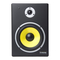 Lautsprecher FAME Pro Series RPM 8 Bedienungsanleitung