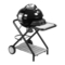 Grills Outdoorchef Como 570 (Eclipse) Bedienungsanleitung