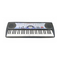 Musikinstrumente Casio CTK-451 Bedienungsanleitung