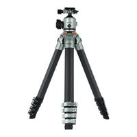 Rollei Lion Rock Traveler Pro Anleitung
