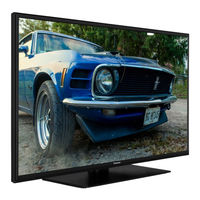 Panasonic TX-32GW334 Bedienungsanleitung