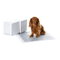 Tierbedarf AmazonBasics B072J3PDKG Schnellstartanleitung