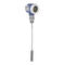 Endress+Hauser Levelflex M FMP40