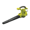 Garten und Gartentechnik Ryobi RBV2800CSV Bedienungsanleitung