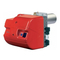 Riello RS 250/M MZ Typ 866 T