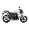 Motorräder Sym Wolf SB250Ni Handbuch
