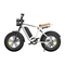 ENGWE M20 Handbuch
