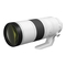 Canon RF 200-800mm F6.3-9.0 IS USM