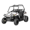 Polaris RZR 170 2019