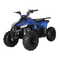 Quads & ATV P.Lindberg MUDHAWK 110сс Handbuch