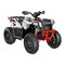 Polaris Scrambler 1000