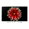 OLED-Fernseher LG OLED55B7 Serie Bedienungsanleitung