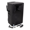 Lautsprecher Ibiza sound RX18A-BT Bedienungsanleitung