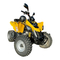 BRP can-am DS 250-Serie 2023