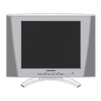 Grundig AMIRA 38 Serviceanleitung