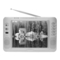 LCD-Fernseher Tevion MD 30108 Bedienungsanleitung