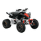 BRP can-am DS 70-Serie 2021