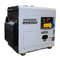 Hyundai DHY6000SE, DHY8000SE, DHY8000SELR-T Handbuch