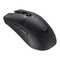 ASUS P306 TUF GAMING M4 - Handbuch für die kabellose optische Gaming-Maus