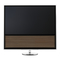 Fernseher Bang & Olufsen BeoVision 14 Handbuch